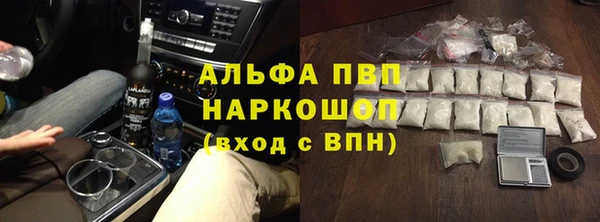 прущие грибы Вяземский