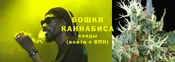 прущие грибы Вяземский