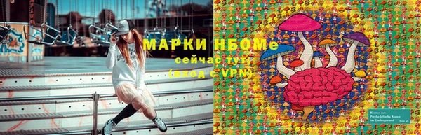 прущие грибы Вяземский