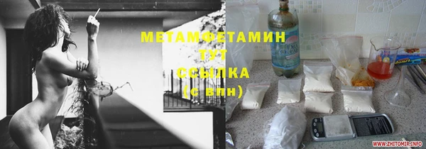 прущие грибы Вяземский