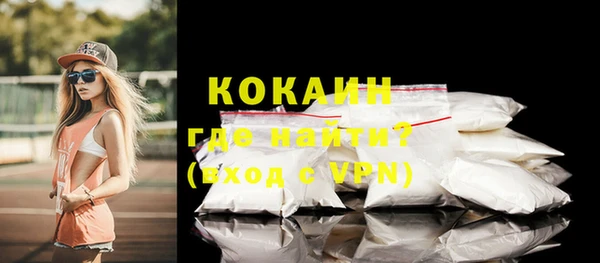прущие грибы Вяземский