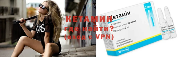 прущие грибы Вяземский