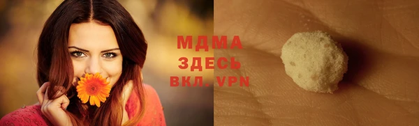 прущие грибы Вяземский