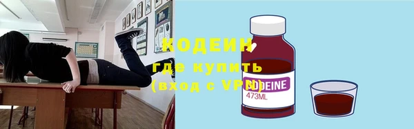 прущие грибы Вяземский