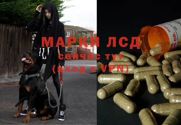 МДМА Вязьма