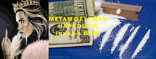 прущие грибы Вяземский