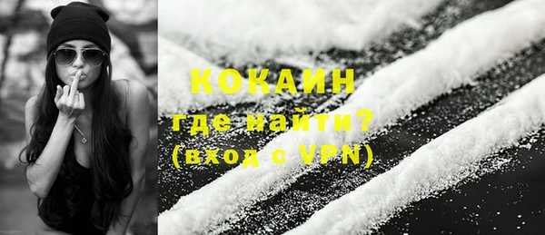 прущие грибы Вяземский
