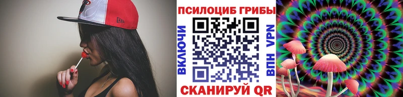 купить   Электросталь  Псилоцибиновые грибы ЛСД 